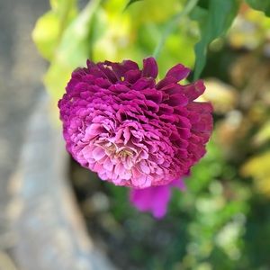 Meet your Posher, Tuyet